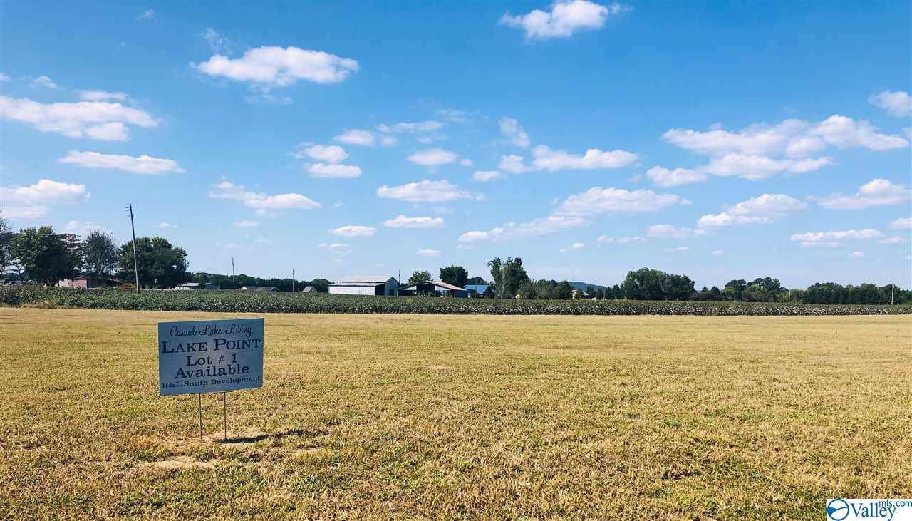 Lot 1 County Road 499 - Photo 1 Lot 1 County Road 499 - Photo 1