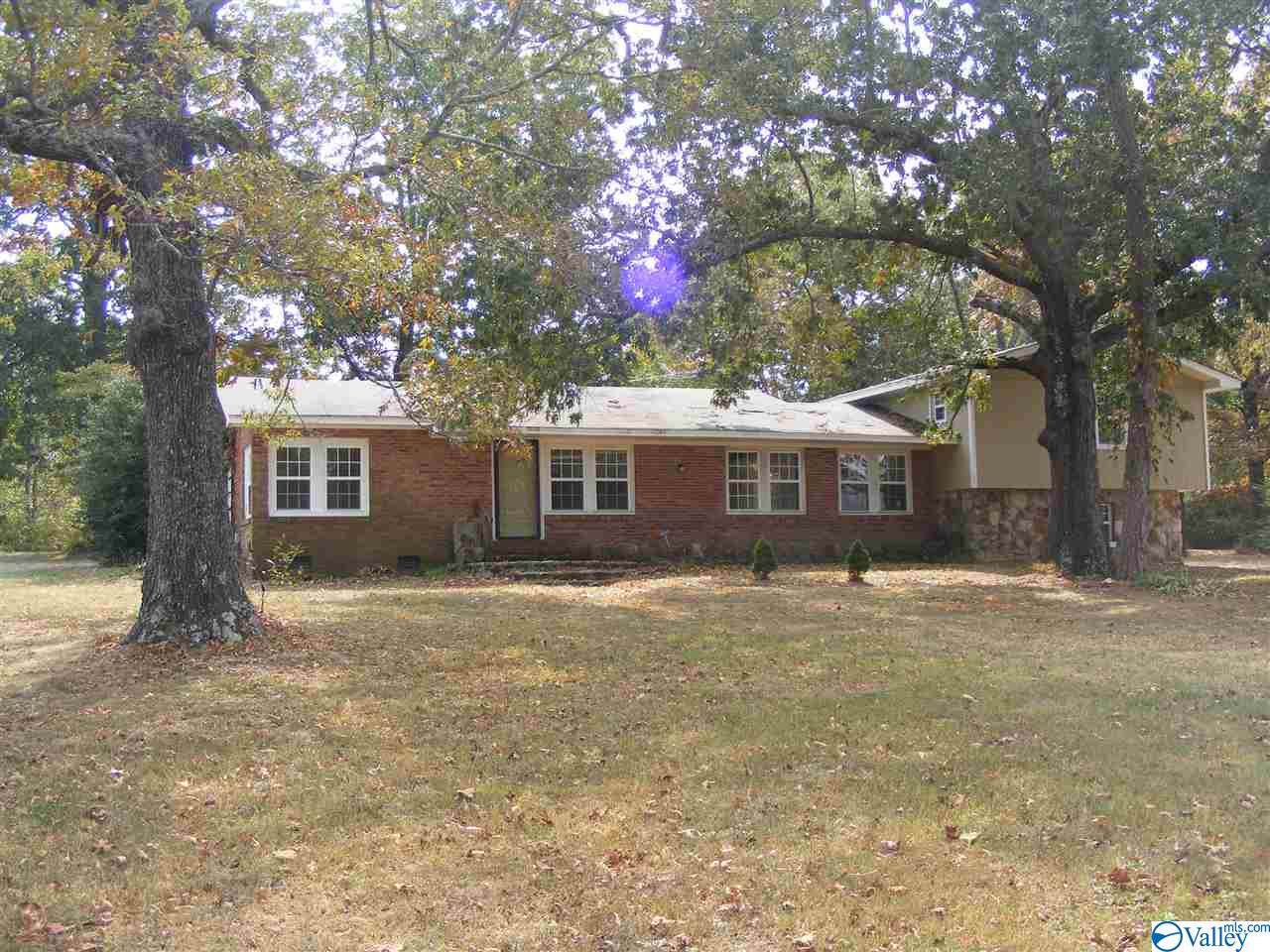 17611 Alabama Hwy 75 - Photo 1