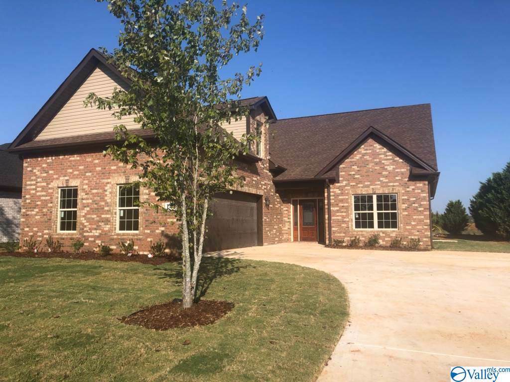 142 Old Eli Road - Photo 1