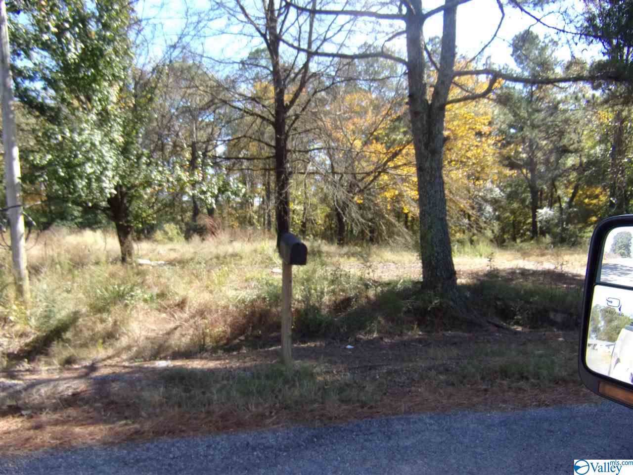 1333 County Road 386 - Photo 1