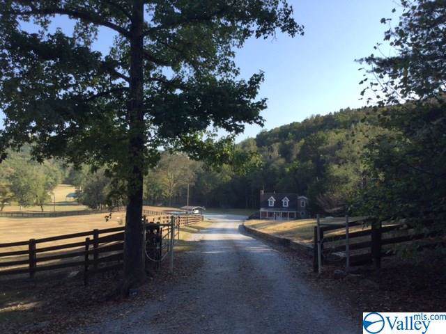 53 Days Gap Road - Photo 1