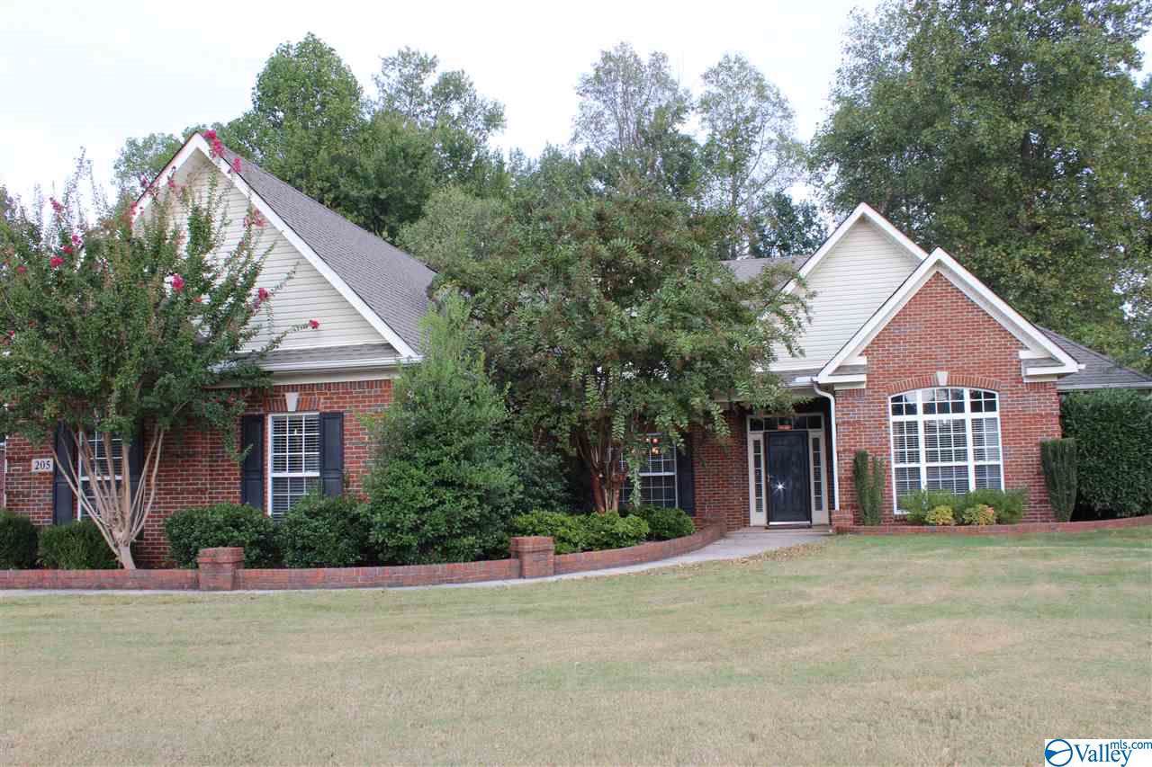 205 Burwell Ridge Trail - Photo 1
