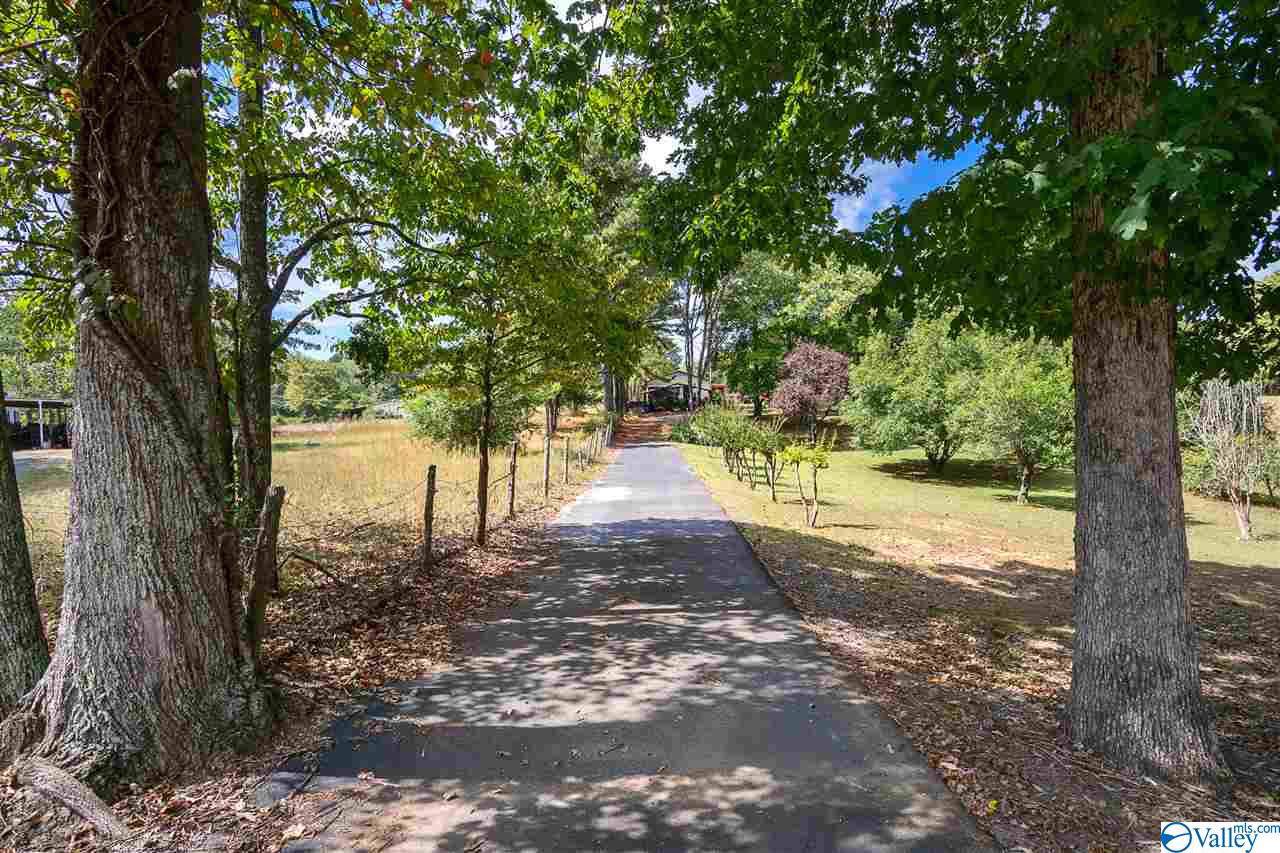 26737 Alabama Highway 79 - Photo 1