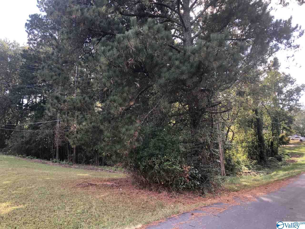 TBD 2ND AVENUE - Photo 1