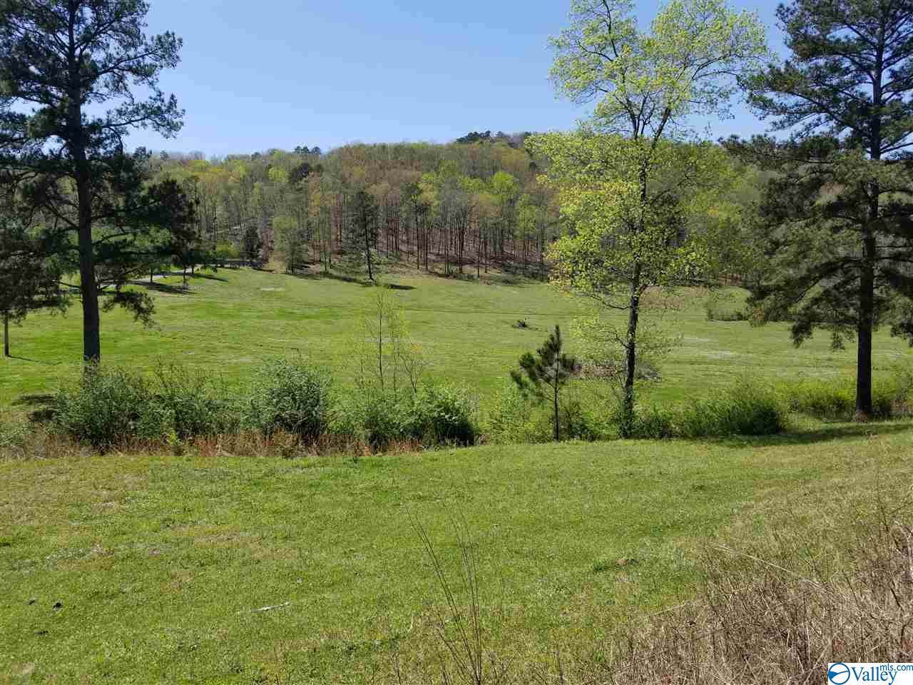 0 County Road 813 - Photo 1