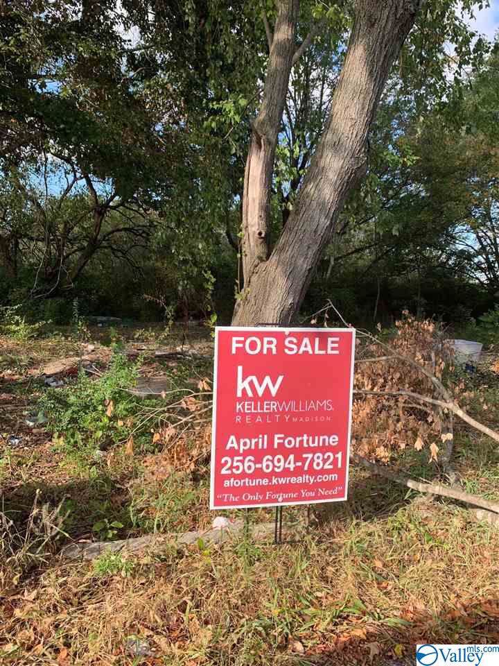 3100 Blue Spring Road - Photo 1