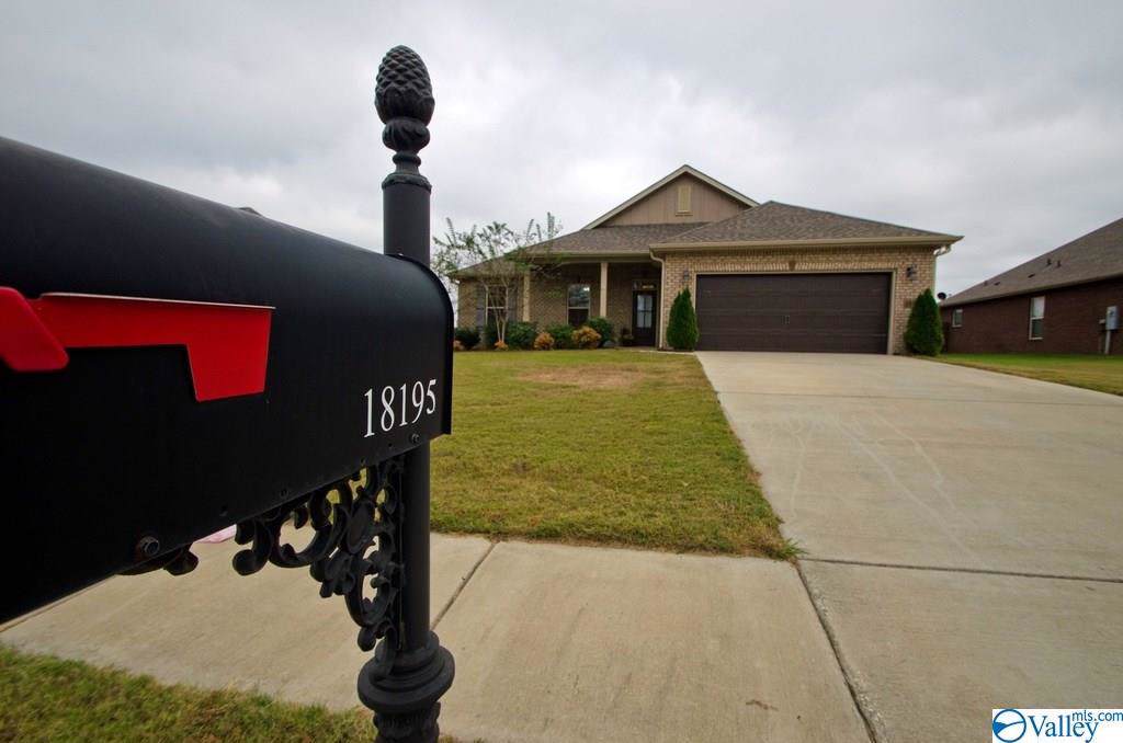 18195 Red Tail Street - Photo 1