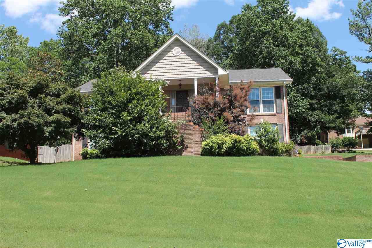 106 Chad Lane - Photo 1