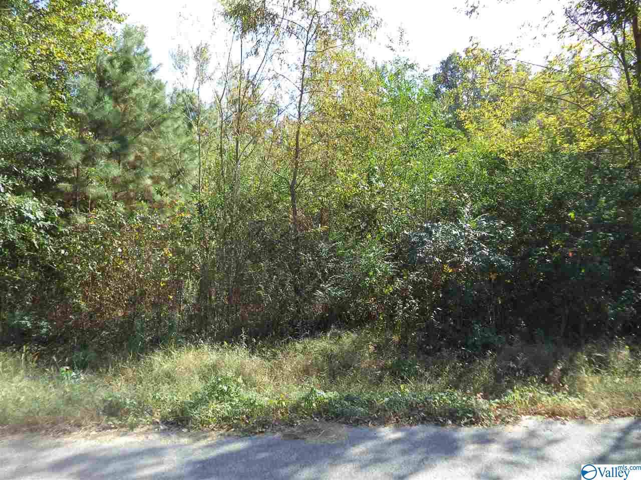 0 Cottonwood Drive - Photo 1