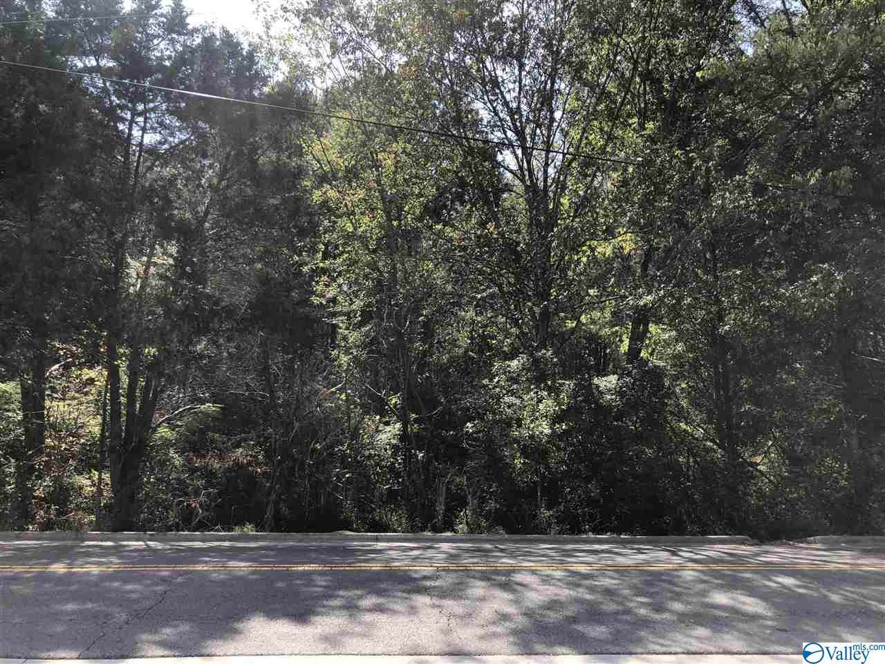 0 Central Henderson Avenue - Photo 1 0 Central Henderson Avenue - Photo 1