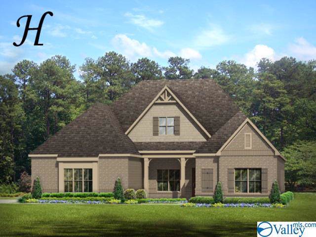 17007 Obsidian Circle - Photo 1