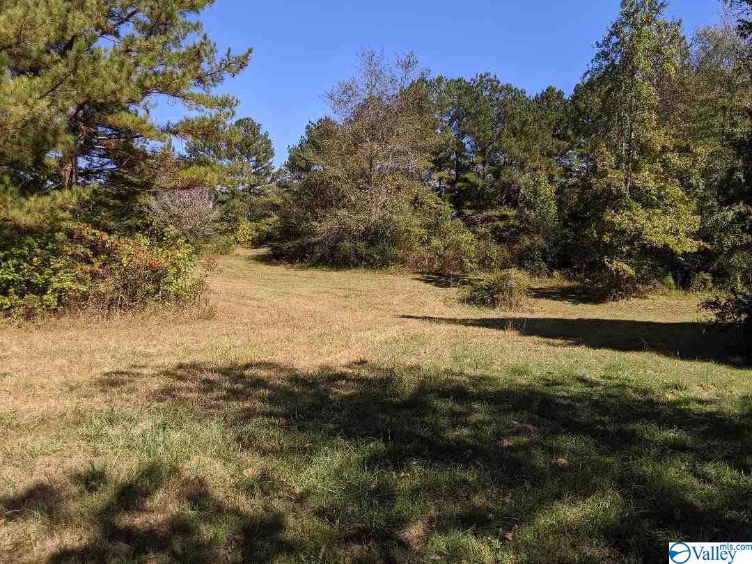 978 Toney School Road - Photo 1
