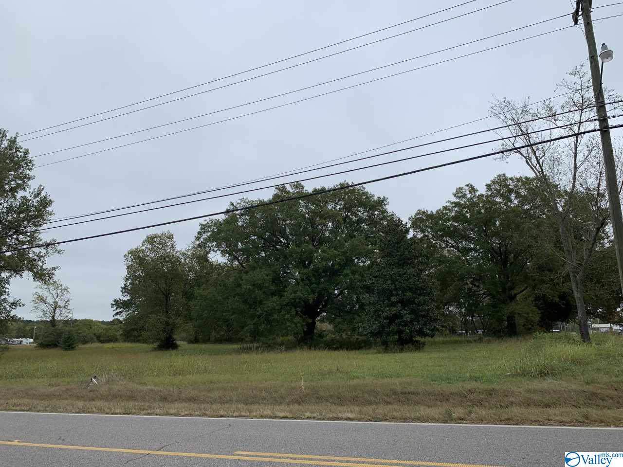 0 Alabama Hwy 157 - Photo 1