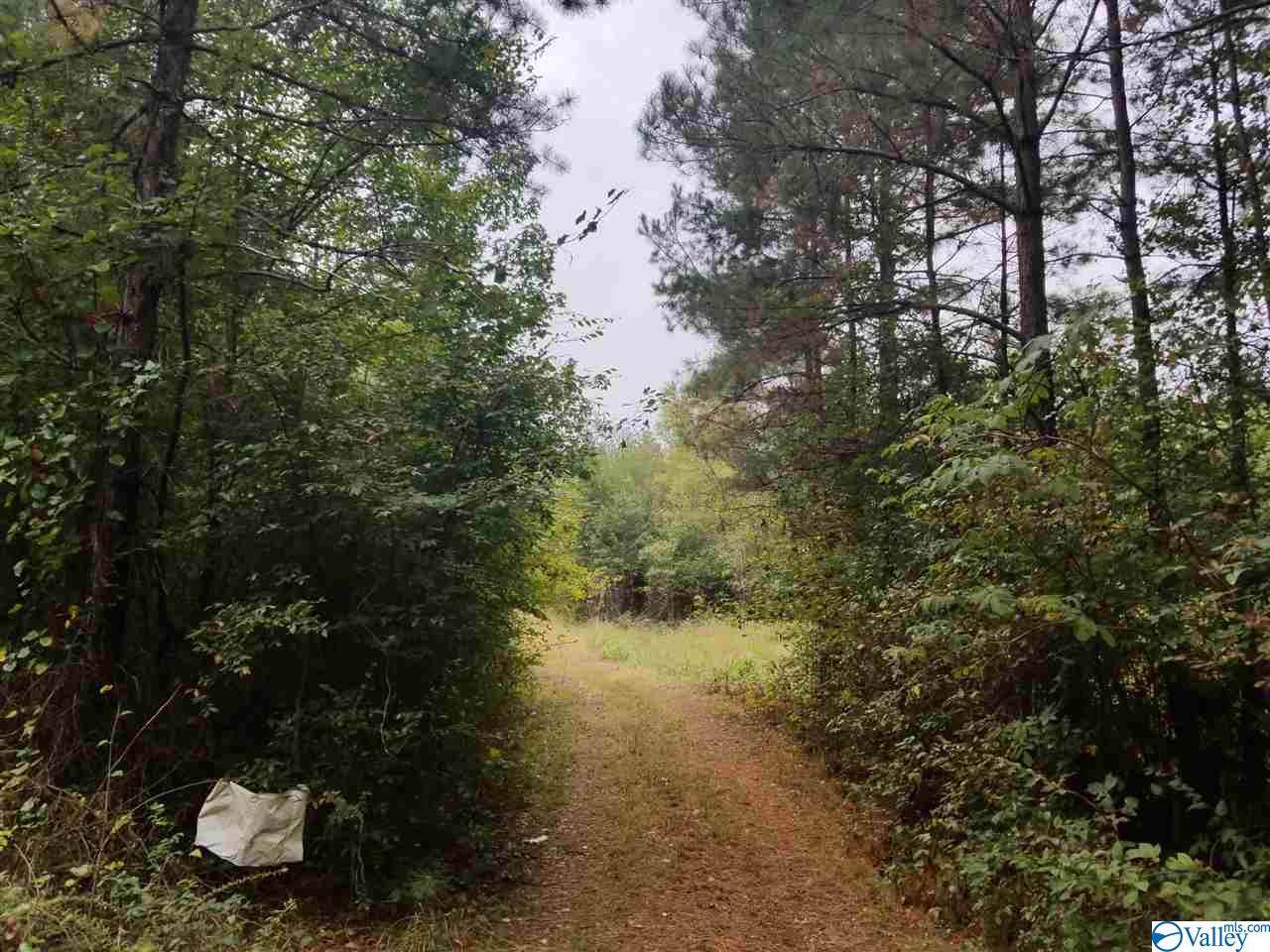 1317 County Road 114 - Photo 1 1317 County Road 114 - Photo 1