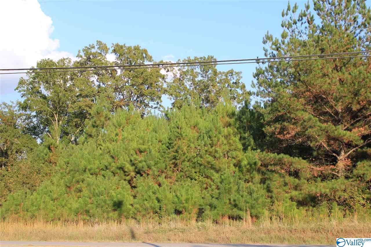 0 Jeff Road - Photo 1