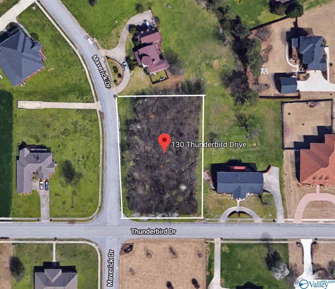 130 Thunderbird Drive - Photo 1