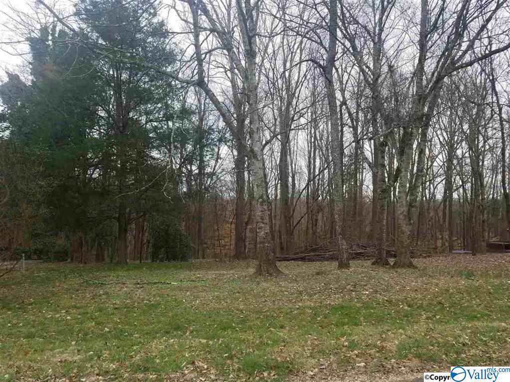 00 Sulphur Creek Drive - Photo 1