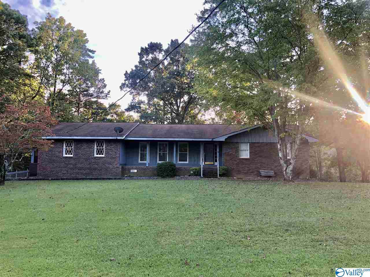 303 Mcnaron Drive - Photo 1