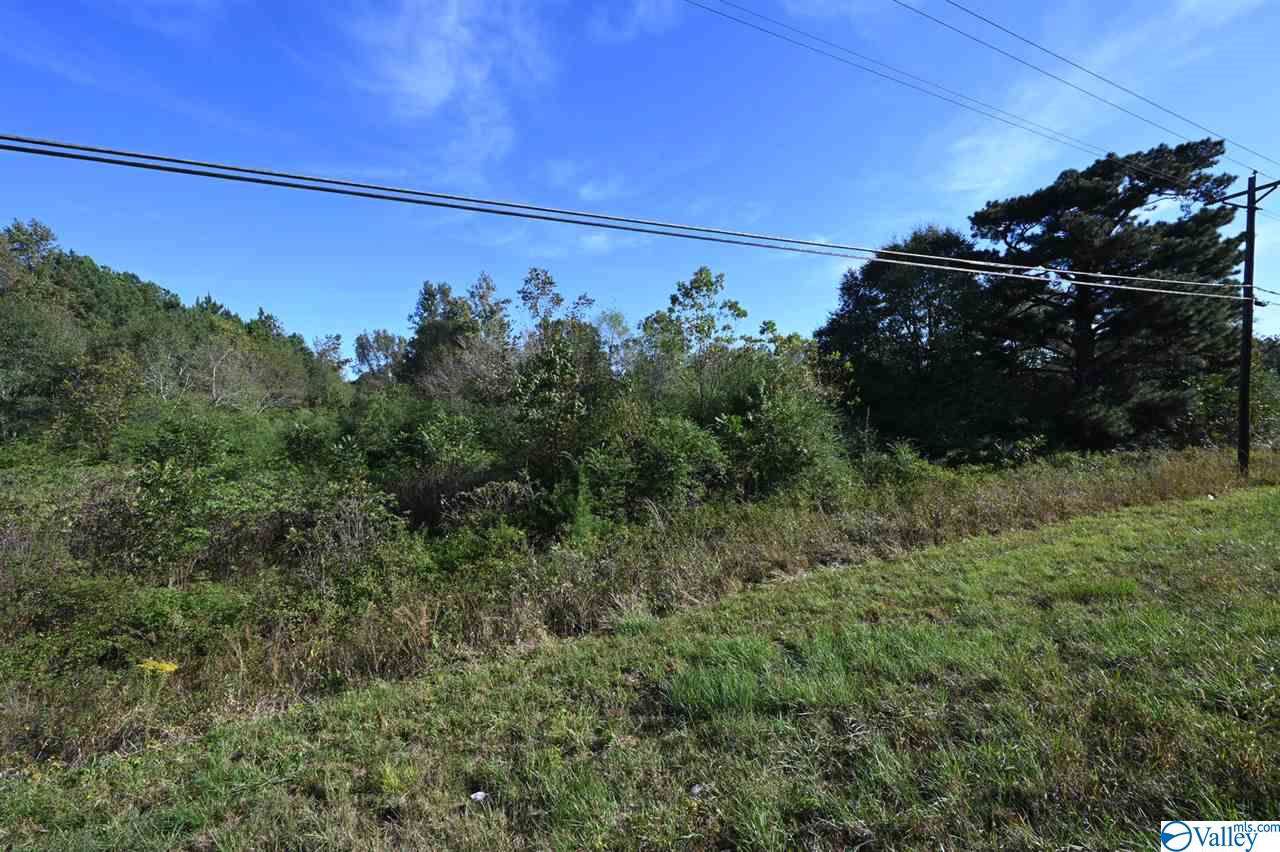 0 Hwy 278 - Photo 1