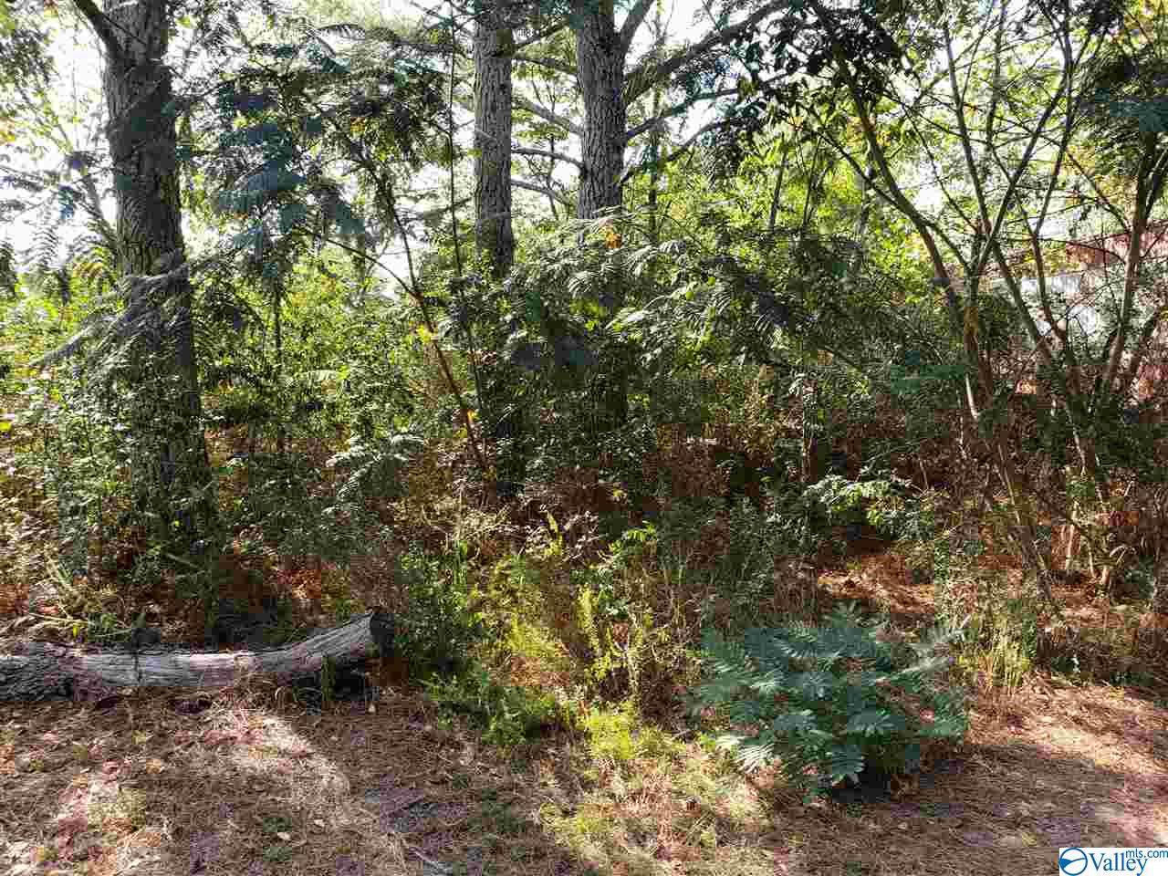 0 Jennifer Drive - Photo 1