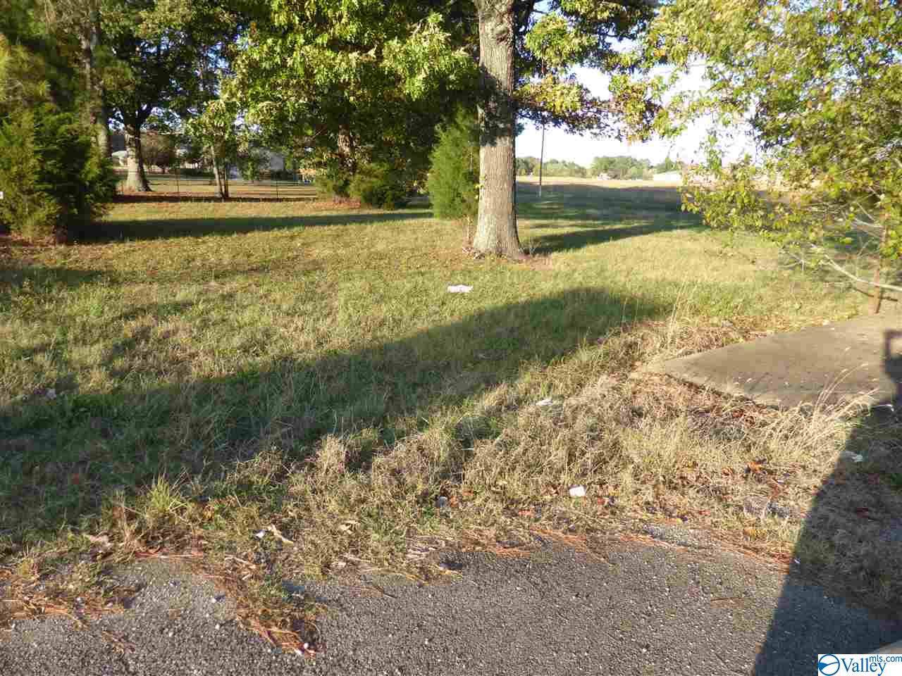 2030 Us Hwy 72 - Photo 1