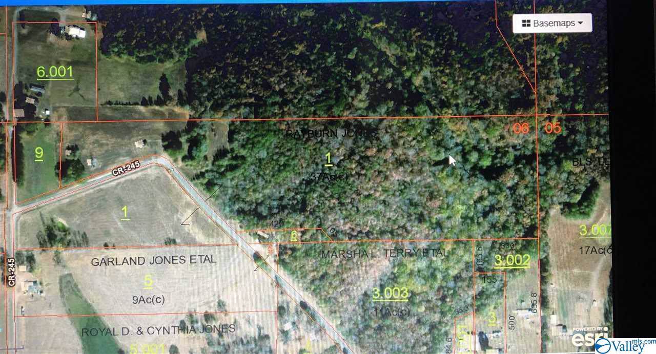 2168 County Road 245 - Photo 1