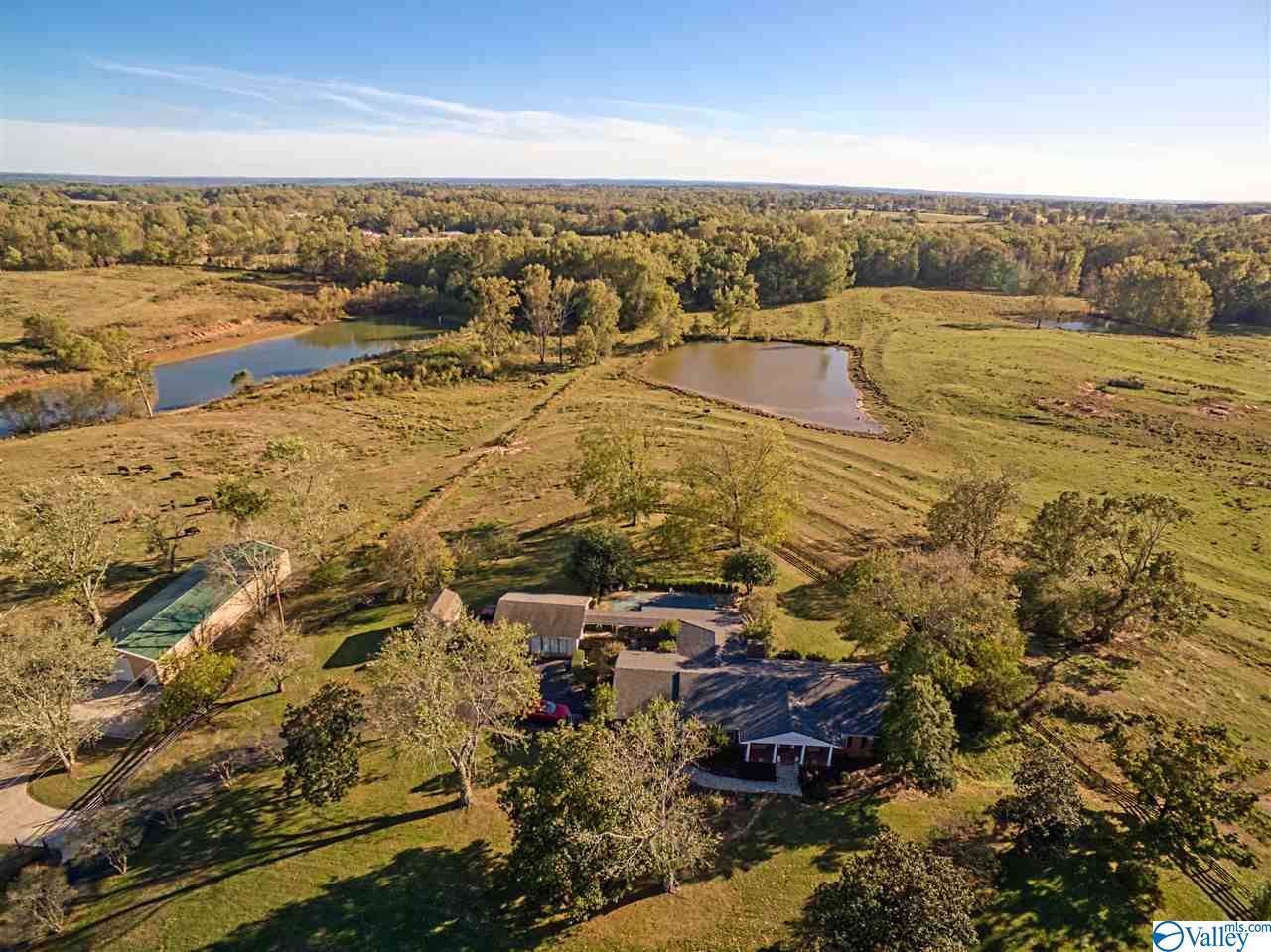 414 Fire Tower Road - Photo 1