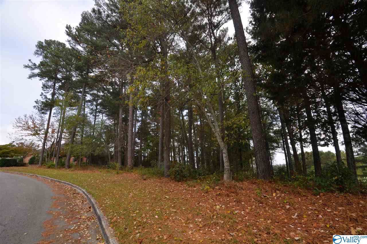 0 Fairway Drive - Photo 1