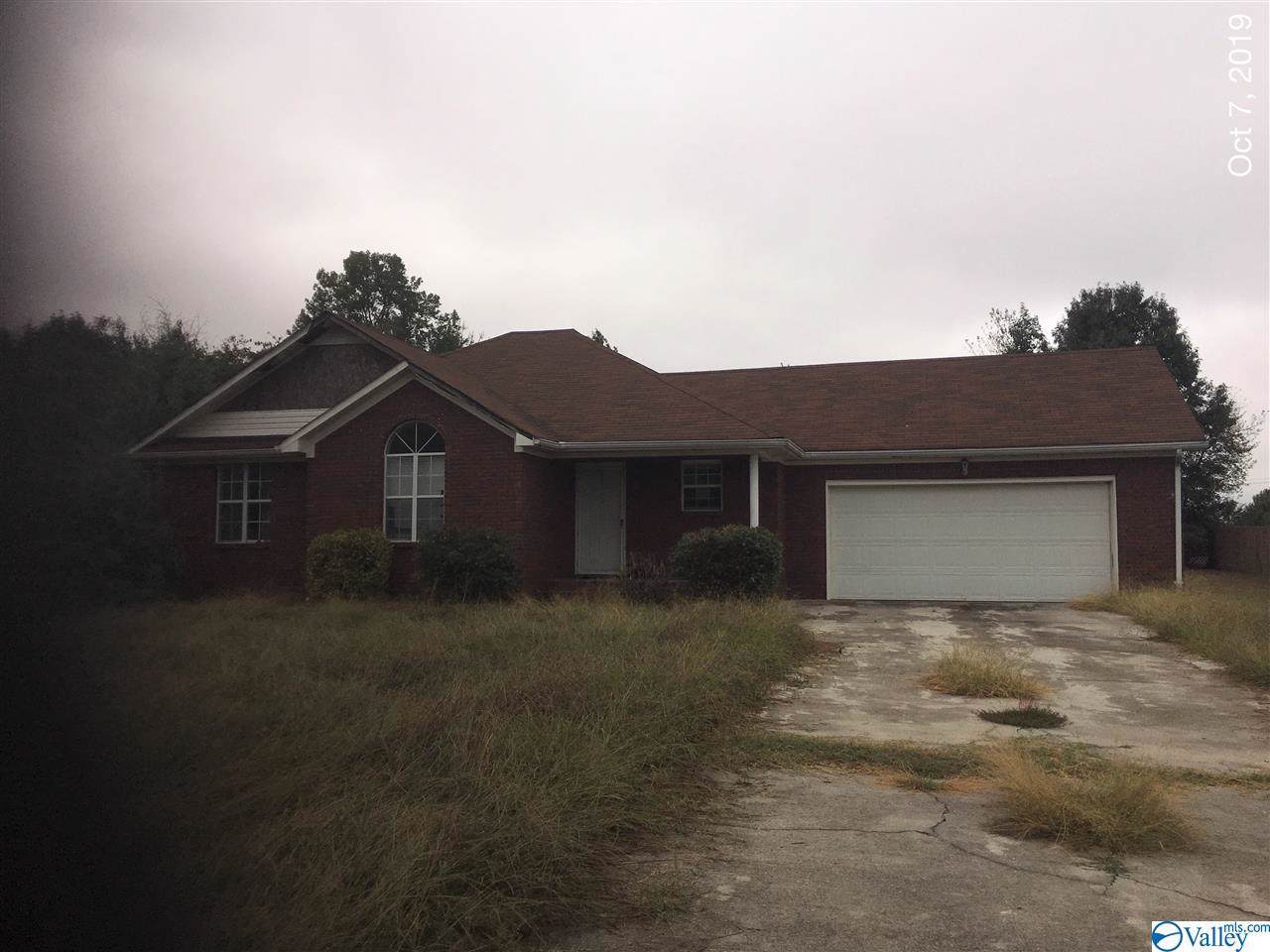 10437 Patty Lane - Photo 1