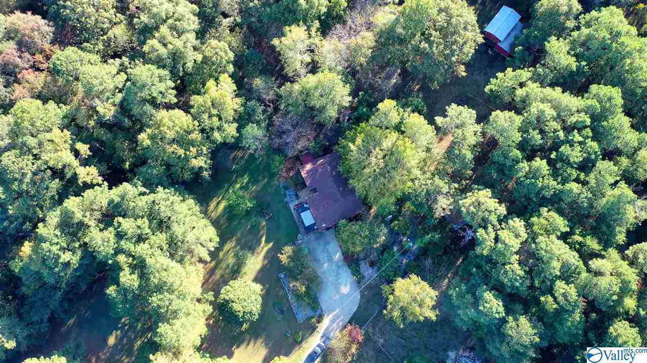 2376 County Road 127 - Photo 1