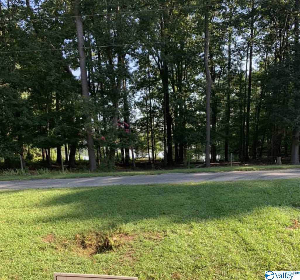 Chattooga Drive - Photo 1 Chattooga Drive - Photo 1