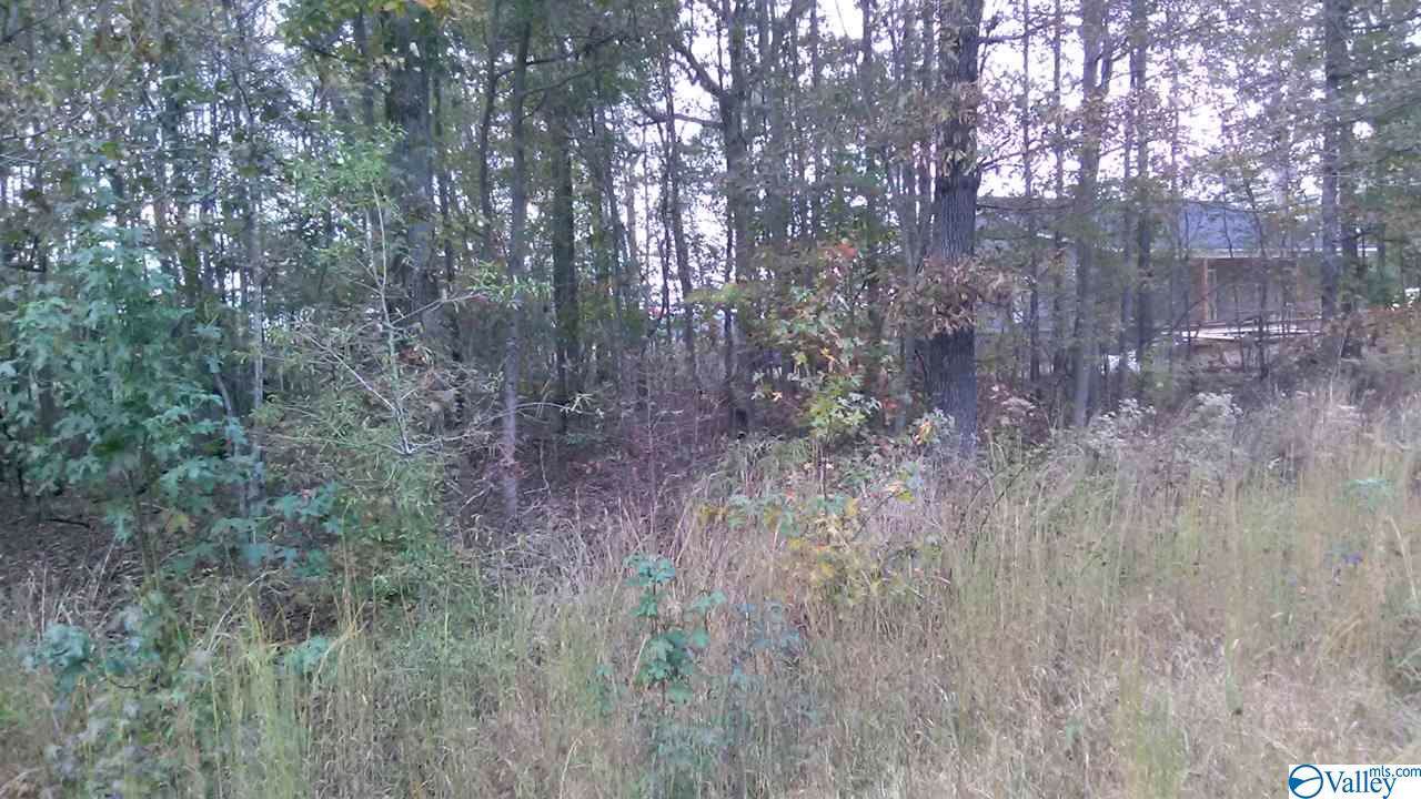 Lot 38 Katie Drive - Photo 1