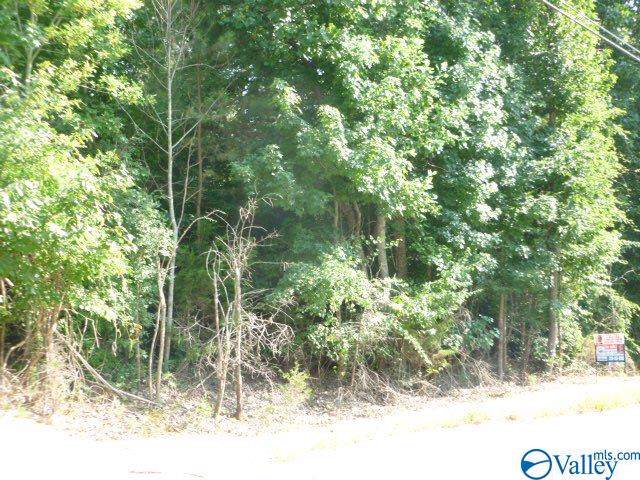 0 County Road 514 - Photo 1