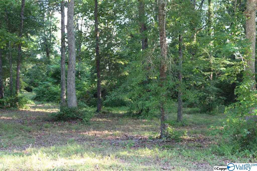 41 Katie Drive - Photo 1