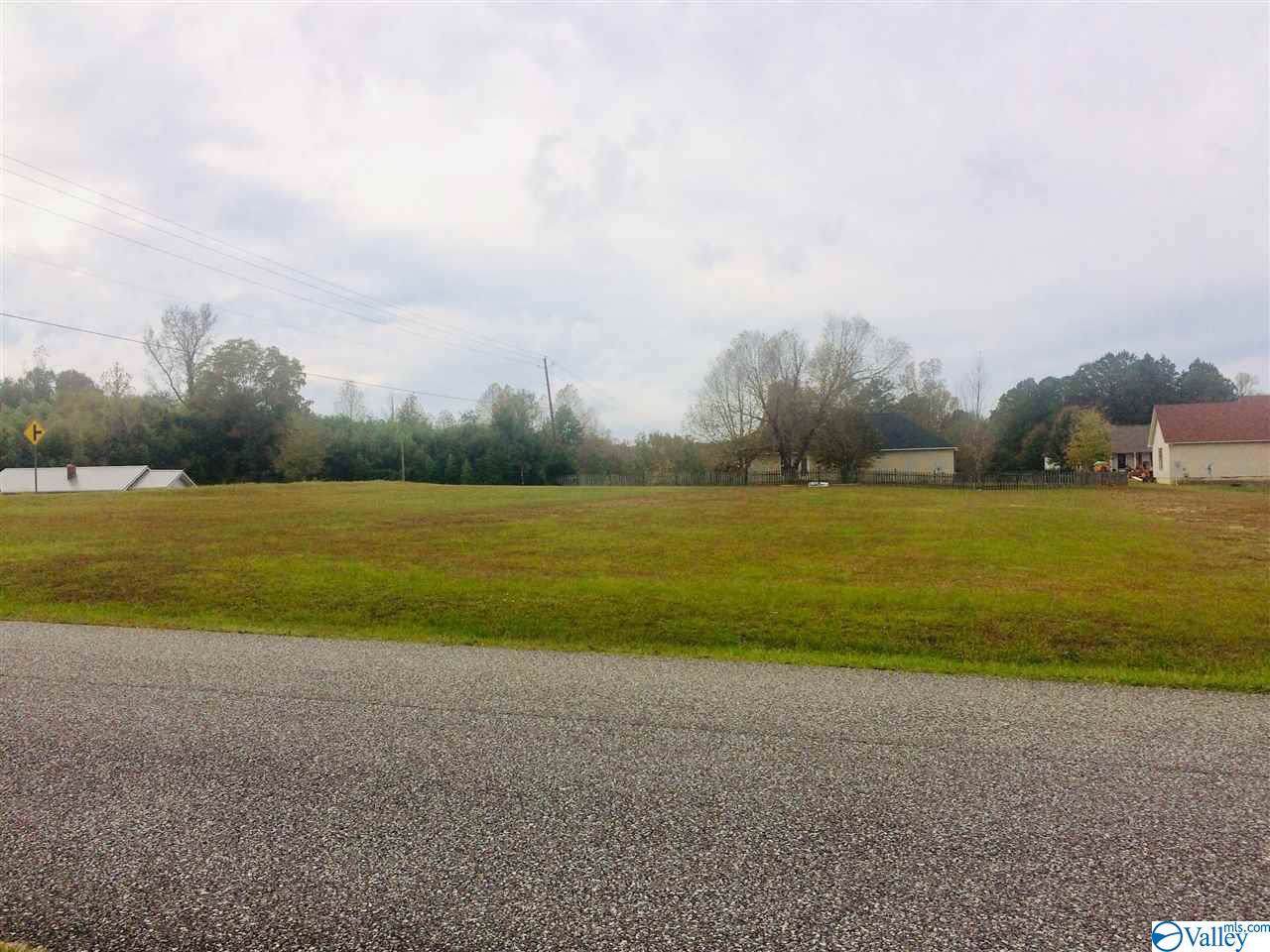 1 Posey Road - Photo 1