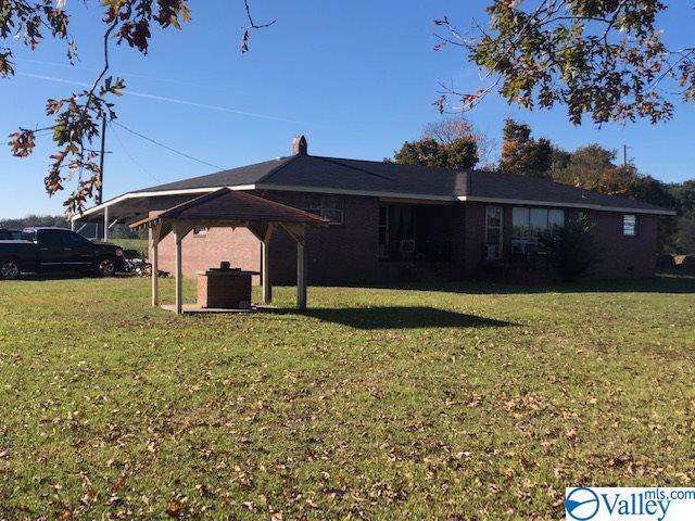 3269 Highway 55 East - Photo 1
