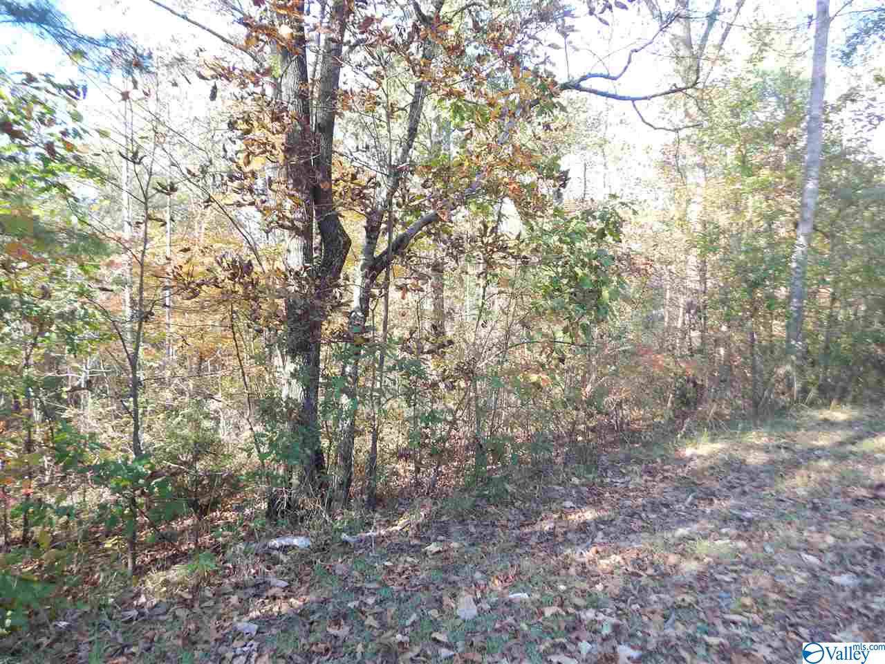1958 Pine Lake Trail - Photo 1