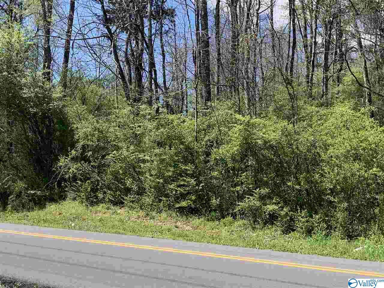 City Park Drive - Photo 1