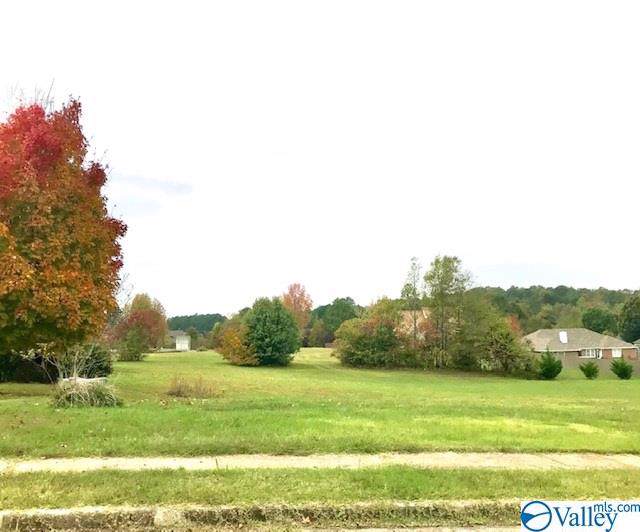 104 Mustang Drive - Photo 1