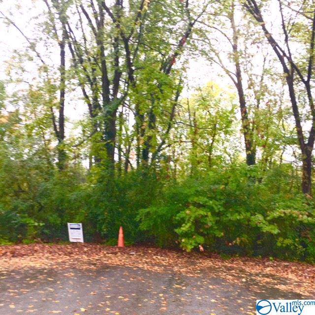 0 4TH AVENUE - Photo 1