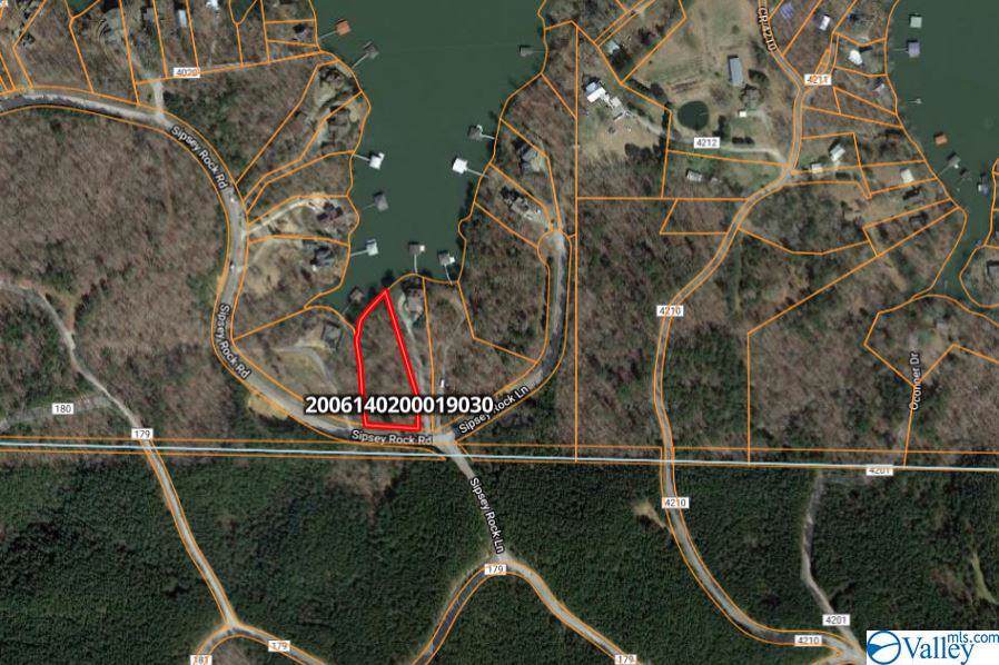 35 Sipsey Rock Road - Photo 1