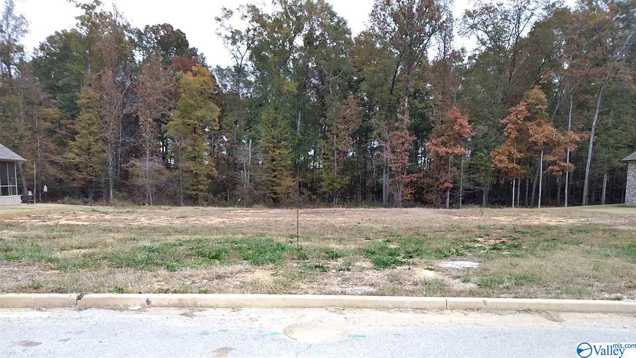 17086 Lochton Drive - Photo 1