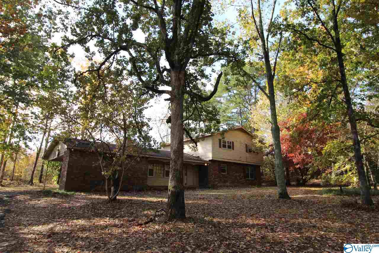291 Skyhaven Drive - Photo 1