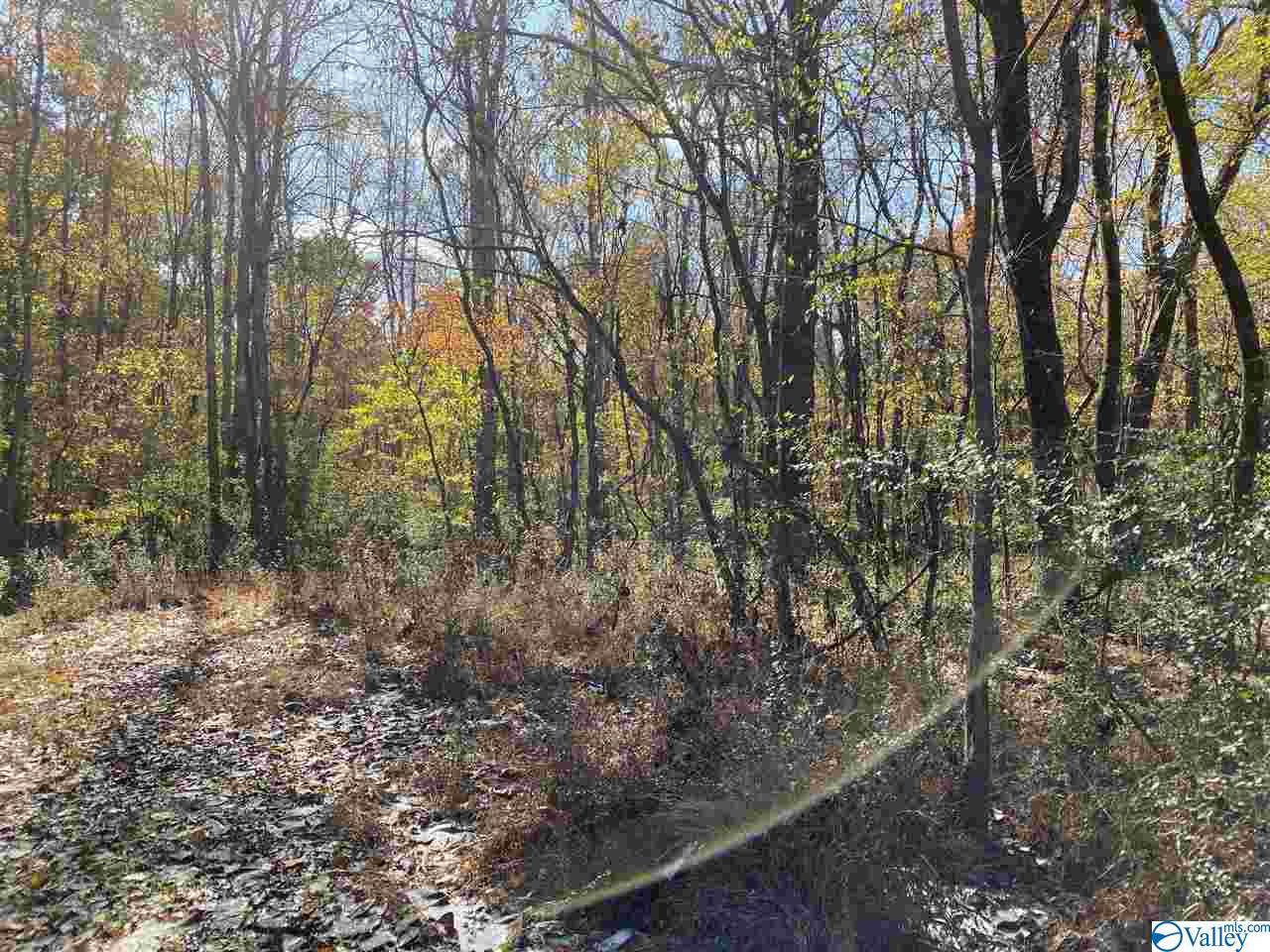 0 Beverly Road - Photo 1