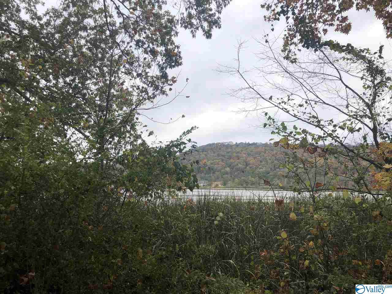 Lot 5 Alabama Highway 79 - Photo 1
