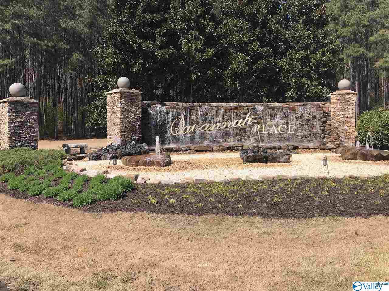 322 Worthington Lane - Photo 1