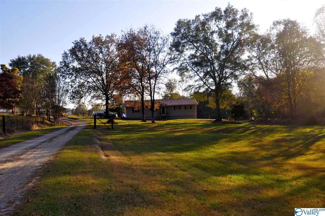 683 County Road 198 - Photo 1