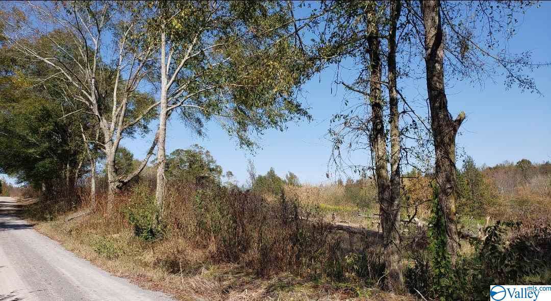 470 Phillips Road - Photo 1