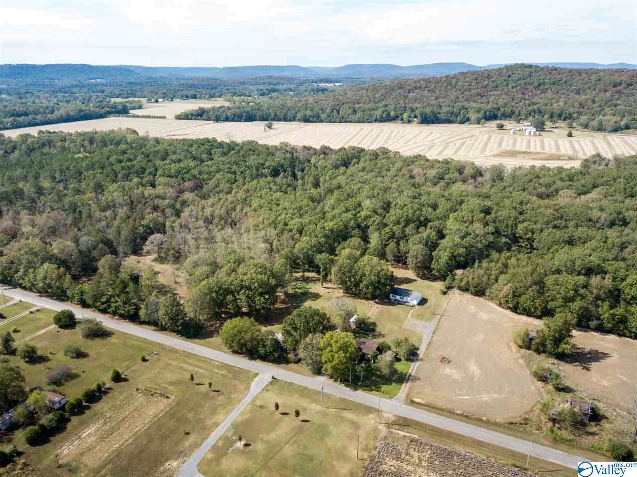 2167 Paint Rock Road - Photo 1