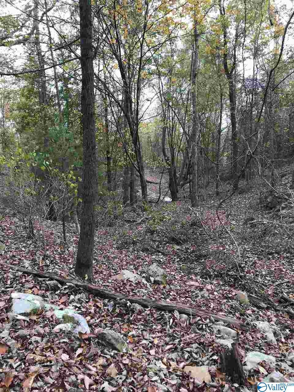 0 Thompson Falls Road - Photo 1